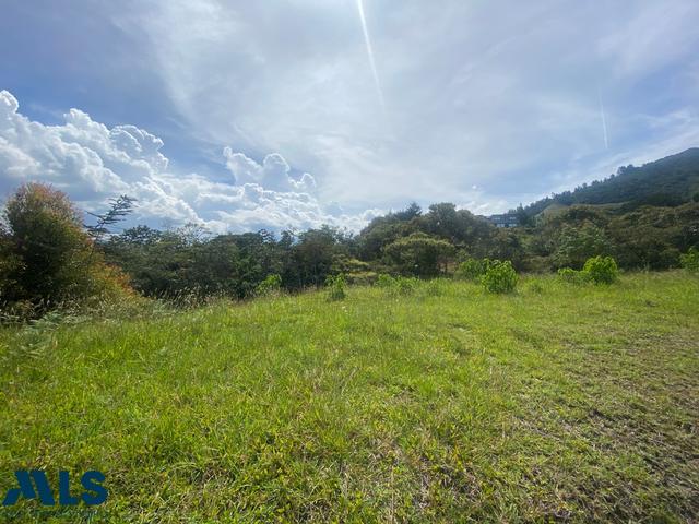 Lote Residencial en Corredor San Antonio – La Ceja (La Ceja) – La Ceja – 234206 - El Dandy