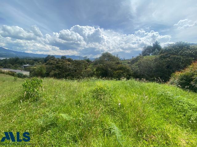 Lote Residencial en Corredor San Antonio – La Ceja (La Ceja) – La Ceja – 234206 - El Dandy