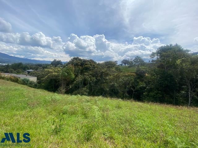 Lote Residencial en Corredor San Antonio – La Ceja (La Ceja) – La Ceja – 234206 - El Dandy