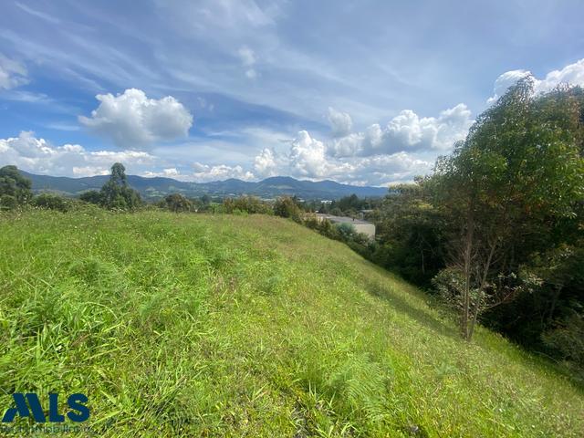 Lote Residencial en Corredor San Antonio – La Ceja (La Ceja) – La Ceja – 234206 - El Dandy