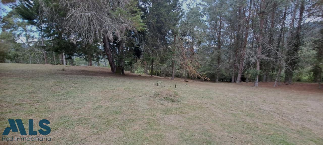Lote Residencial en Alto de las Palmas (El Retiro) – El Retiro – 243698 - El Dandy