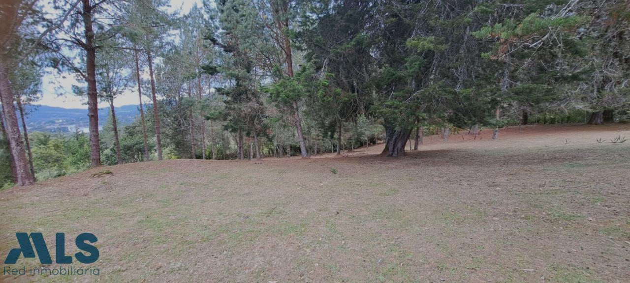 Lote Residencial en Alto de las Palmas (El Retiro) – El Retiro – 243698 - El Dandy