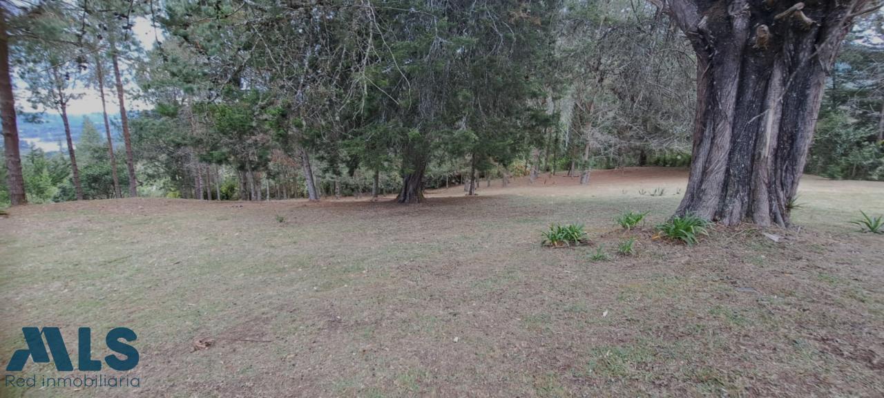 Lote Residencial en Alto de las Palmas (El Retiro) – El Retiro – 243698 - El Dandy