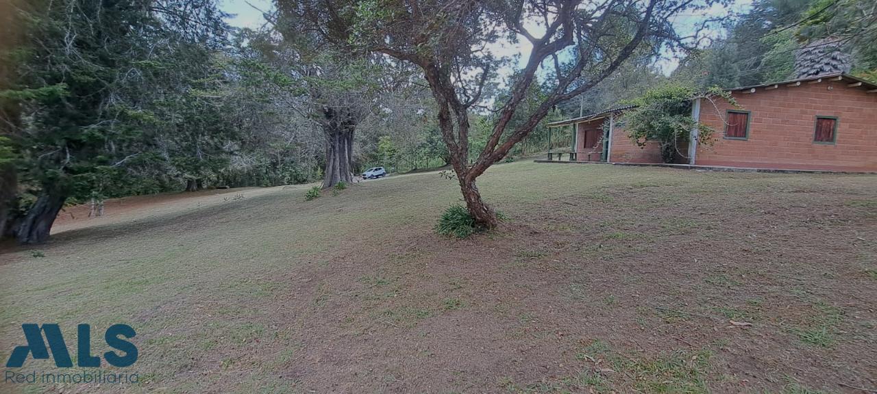Lote Residencial en Alto de las Palmas (El Retiro) – El Retiro – 243698 - El Dandy