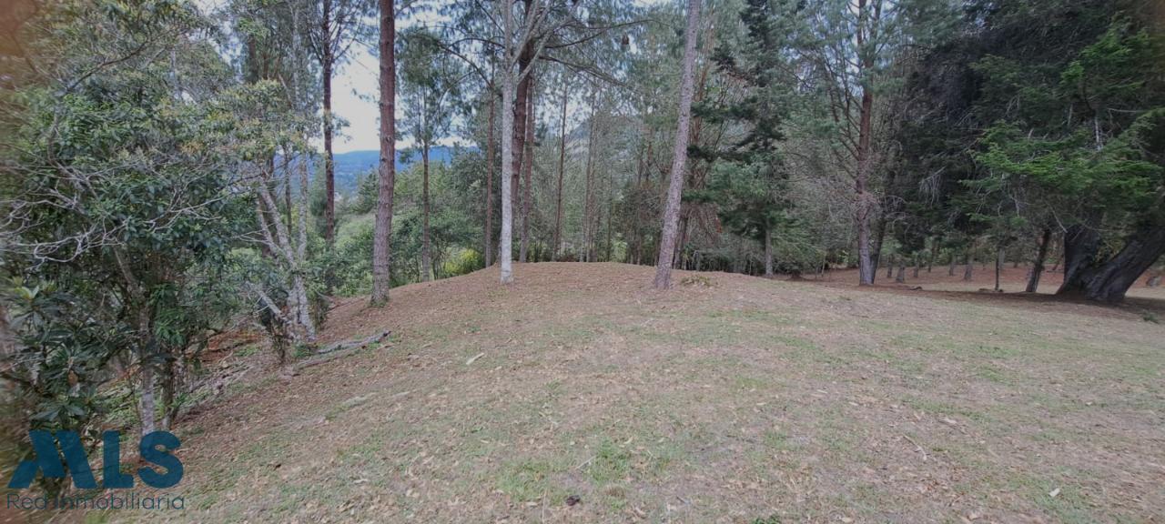 Lote Residencial en Alto de las Palmas (El Retiro) – El Retiro – 243698 - El Dandy