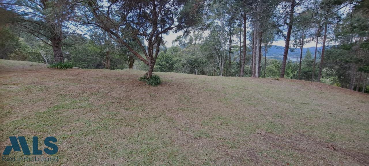 Lote Residencial en Alto de las Palmas (El Retiro) – El Retiro – 243698 - El Dandy