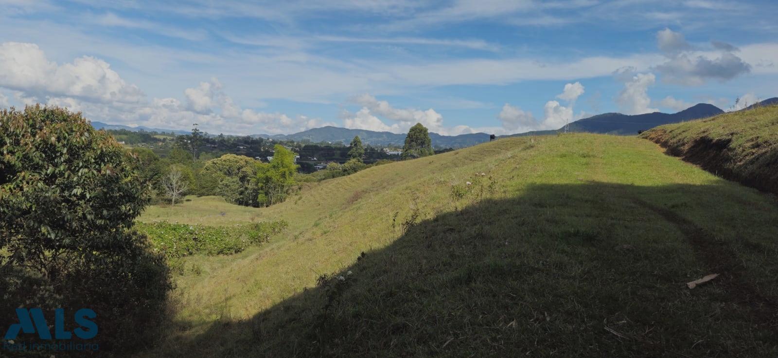 Lote Residencial en Corredor San Antonio – La Ceja (Rionegro) – Rionegro – 260771 - El Dandy
