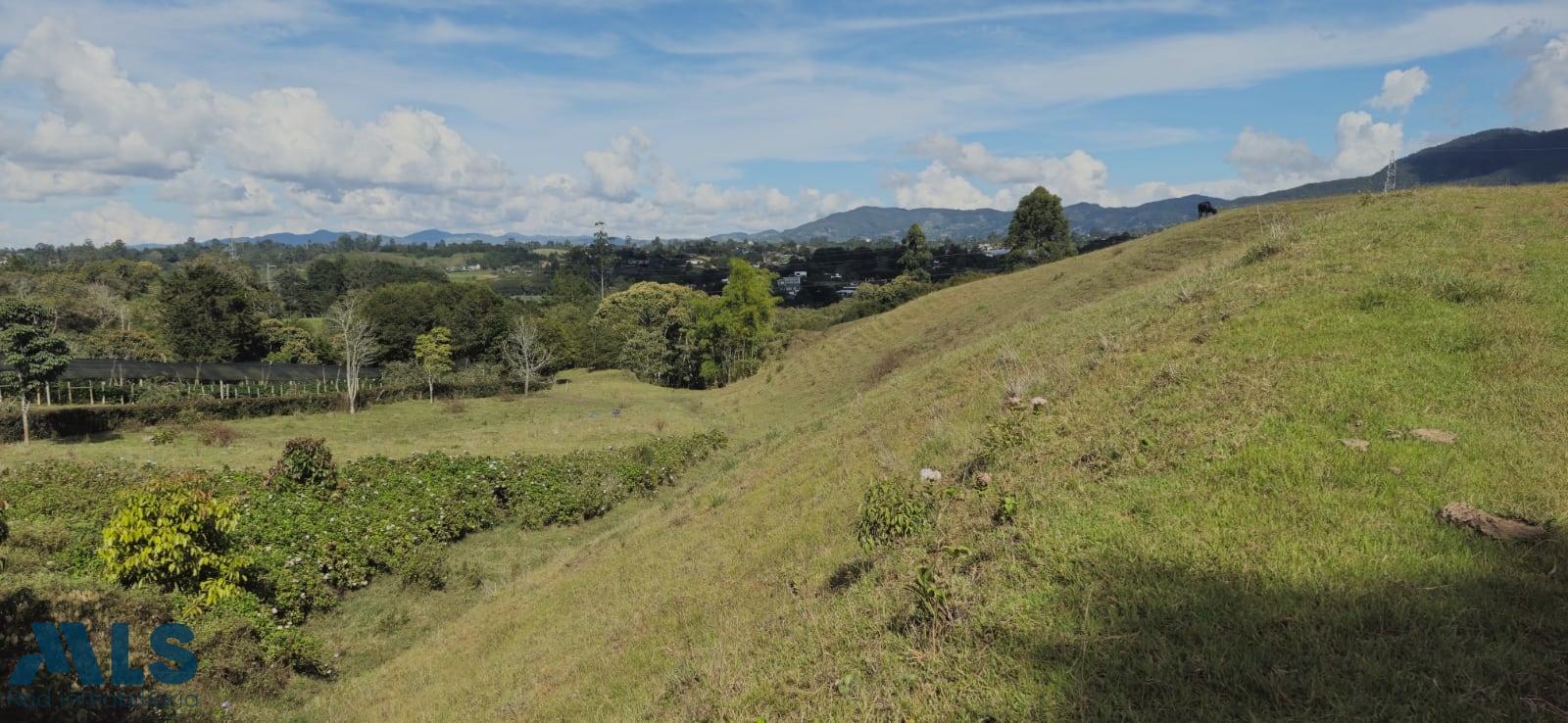 Lote Residencial en Corredor San Antonio – La Ceja (Rionegro) – Rionegro – 260771 - El Dandy