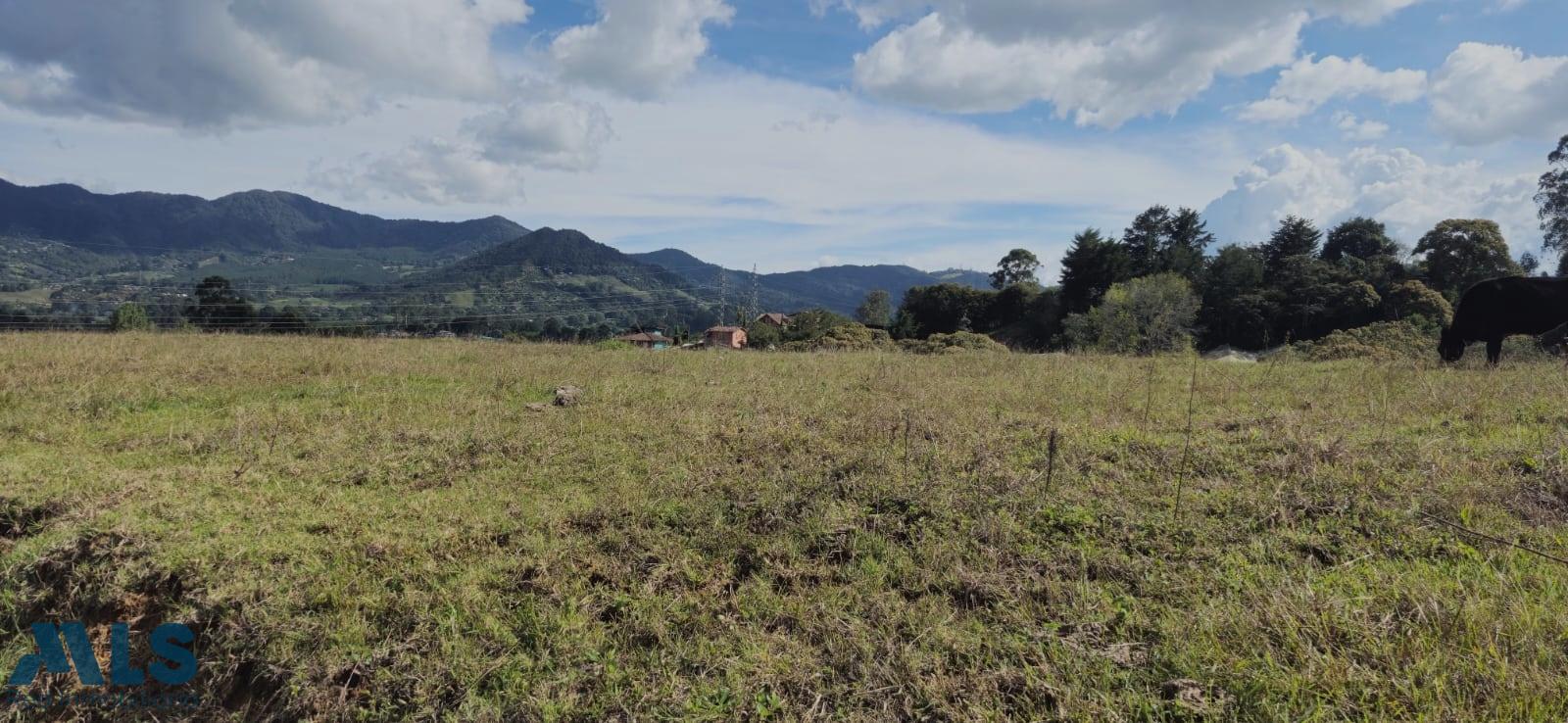 Lote Residencial en Corredor San Antonio – La Ceja (Rionegro) – Rionegro – 260771 - El Dandy