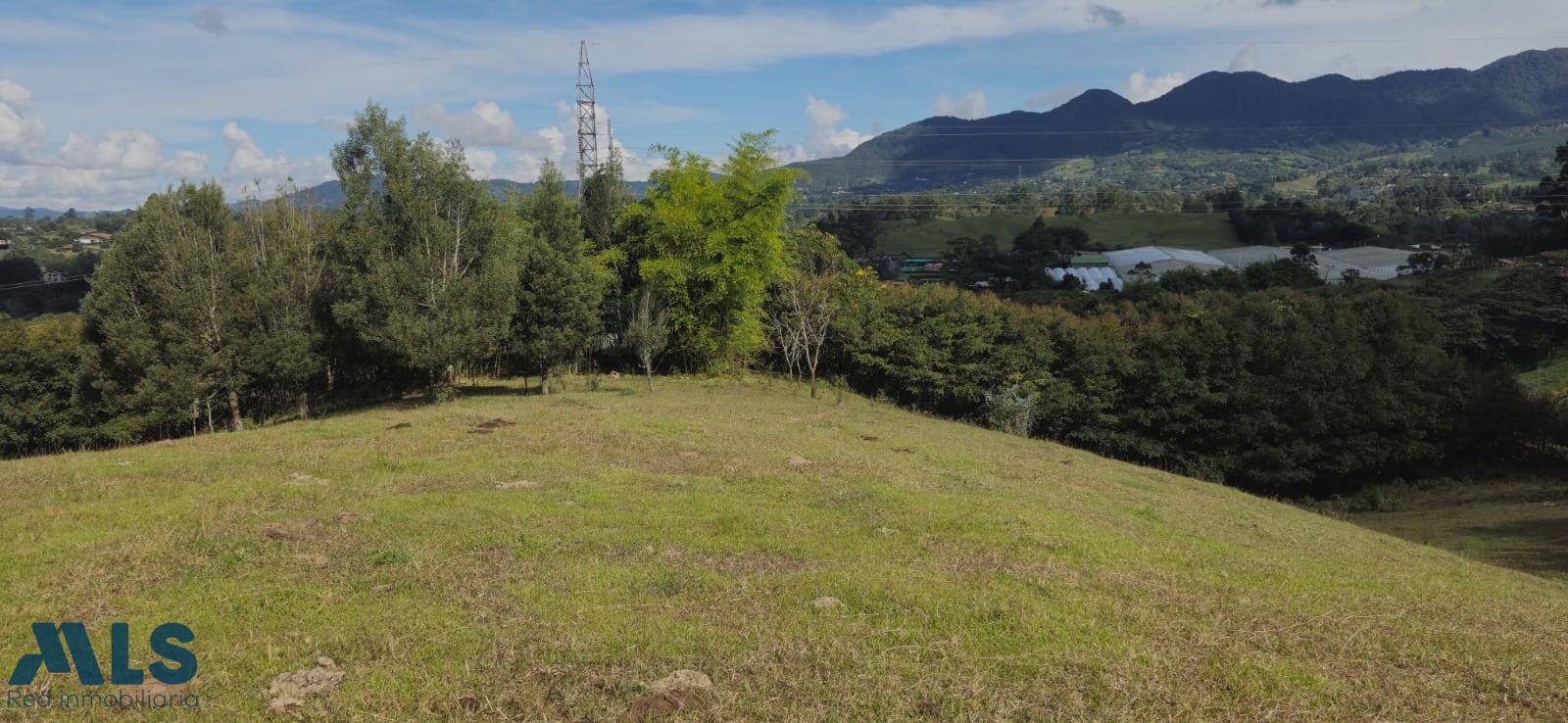 Lote Residencial en Corredor San Antonio – La Ceja (Rionegro) – Rionegro – 260771 - El Dandy