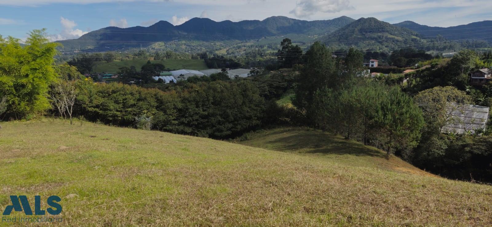 Lote Residencial en Corredor San Antonio – La Ceja (Rionegro) – Rionegro – 260771 - El Dandy