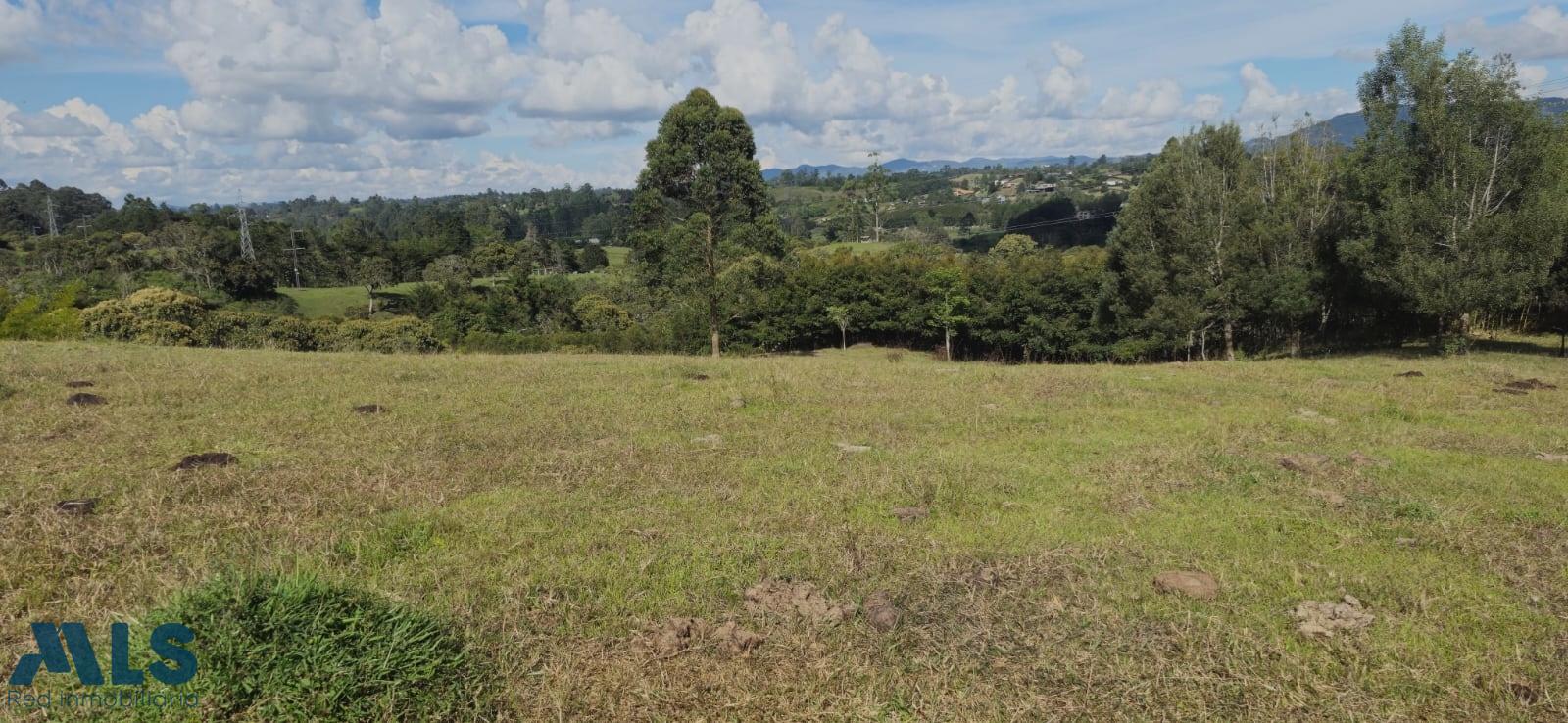 Lote Residencial en Corredor San Antonio – La Ceja (Rionegro) – Rionegro – 260771 - El Dandy