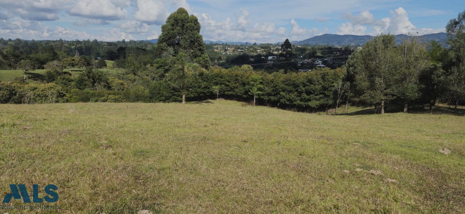 Lote Residencial en Corredor San Antonio – La Ceja (Rionegro) – Rionegro – 260771 - El Dandy