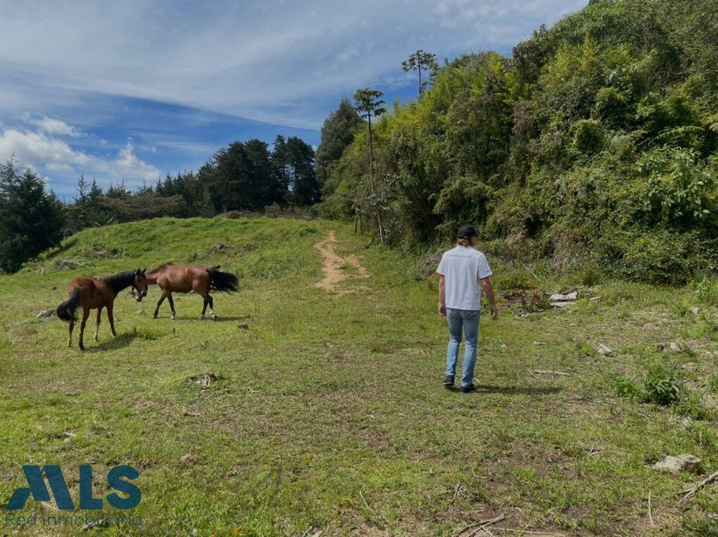 Lote Residencial en Corredor la Fe – El Retiro – El Retiro – 262648 - El Dandy