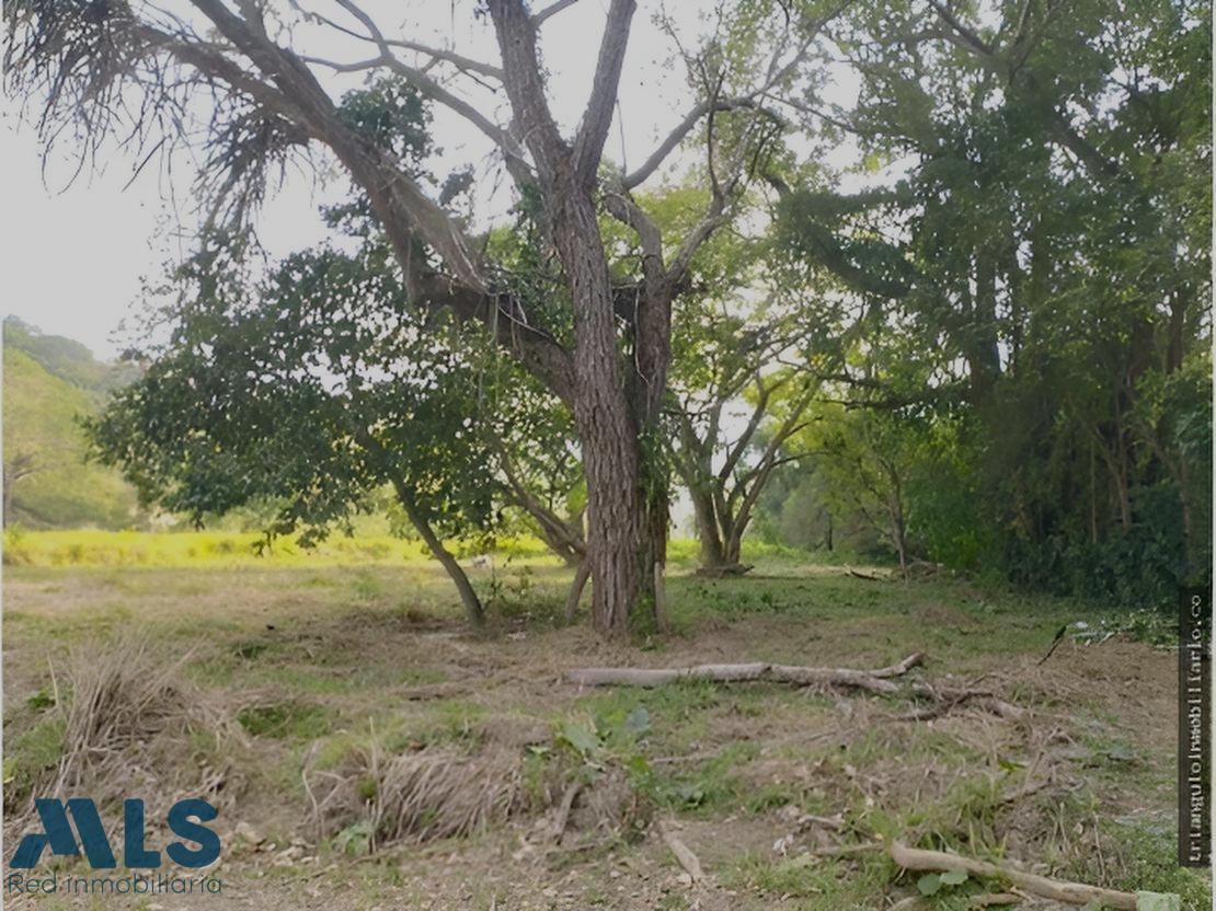 Lote Residencial en V. Miranda – Sopetrán – 264933 - El Dandy