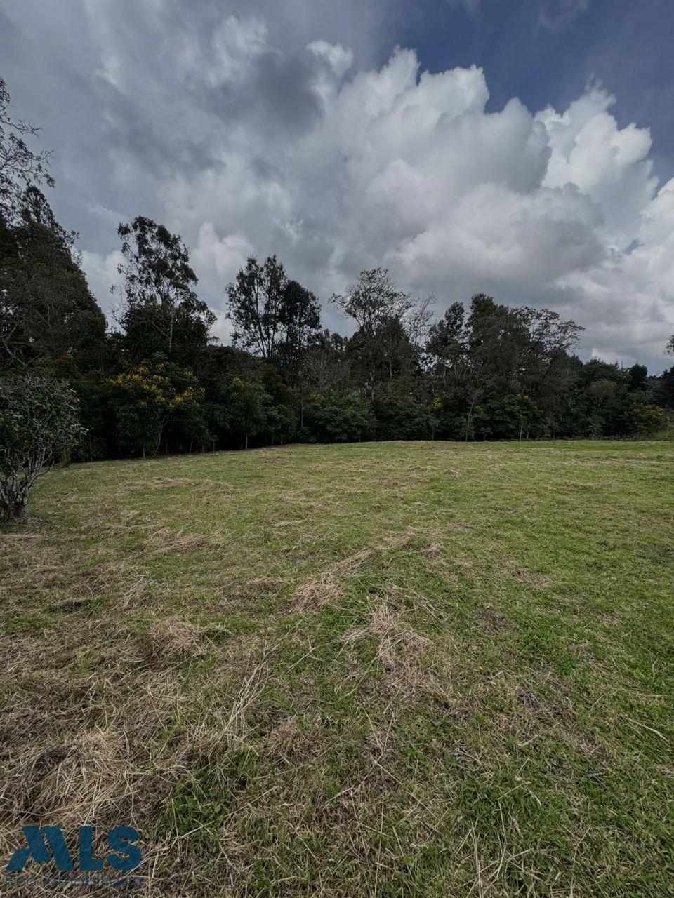 Lote Residencial en Alto de las Palmas – Envigado – 265682 - El Dandy