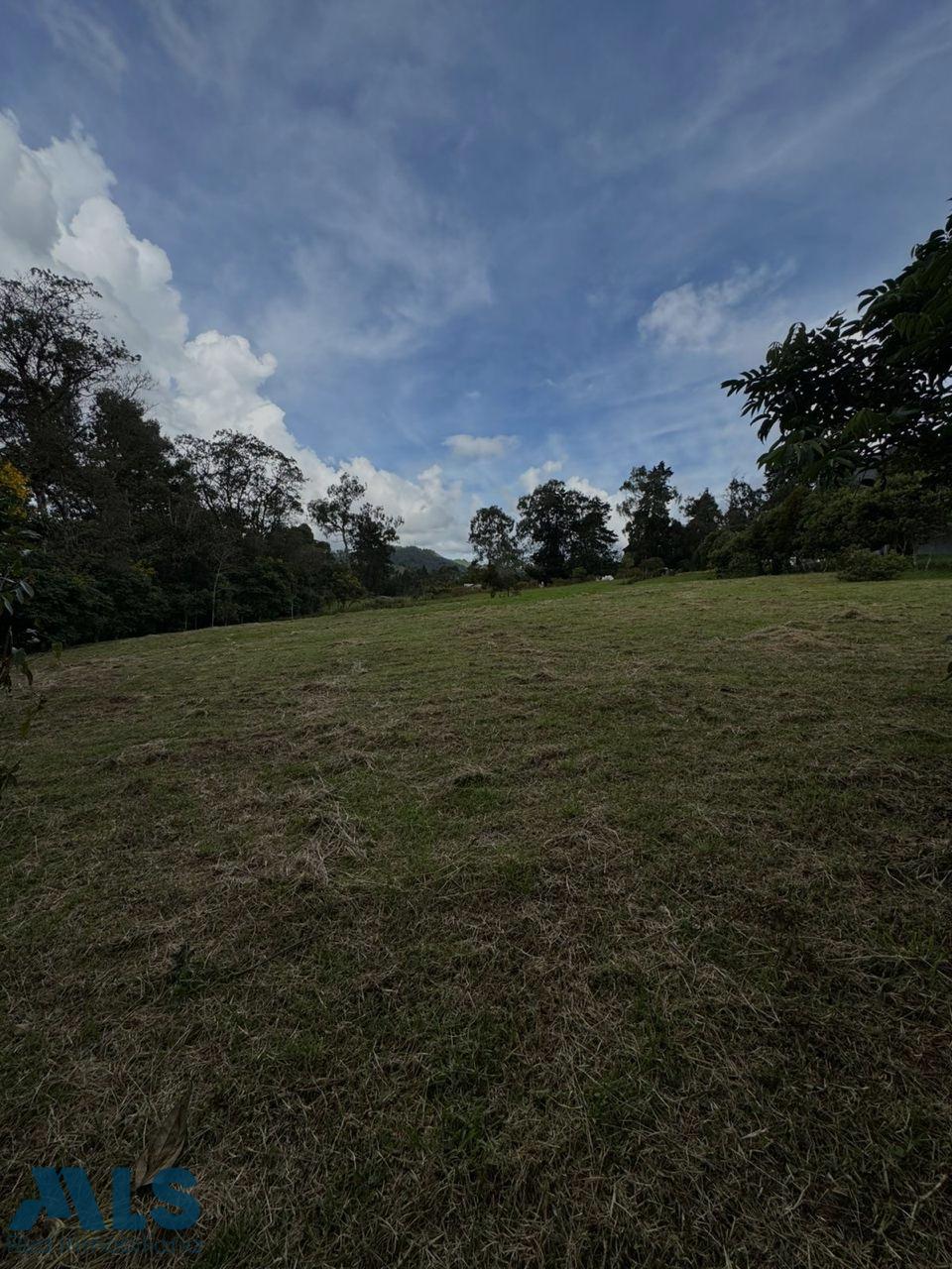 Lote Residencial en Alto de las Palmas – Envigado – 265682 - El Dandy