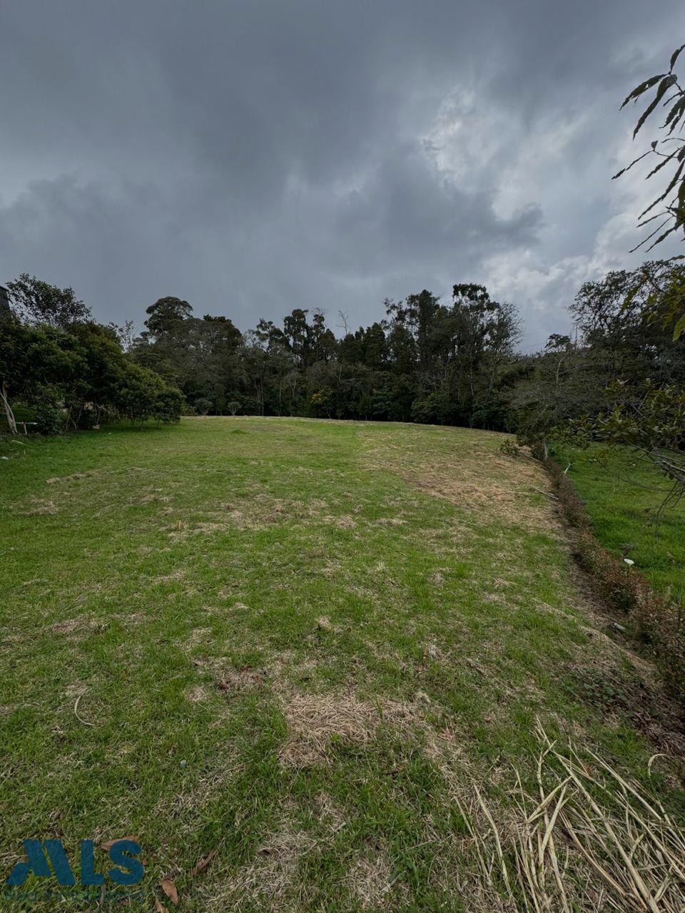 Lote Residencial en Alto de las Palmas – Envigado – 265682 - El Dandy
