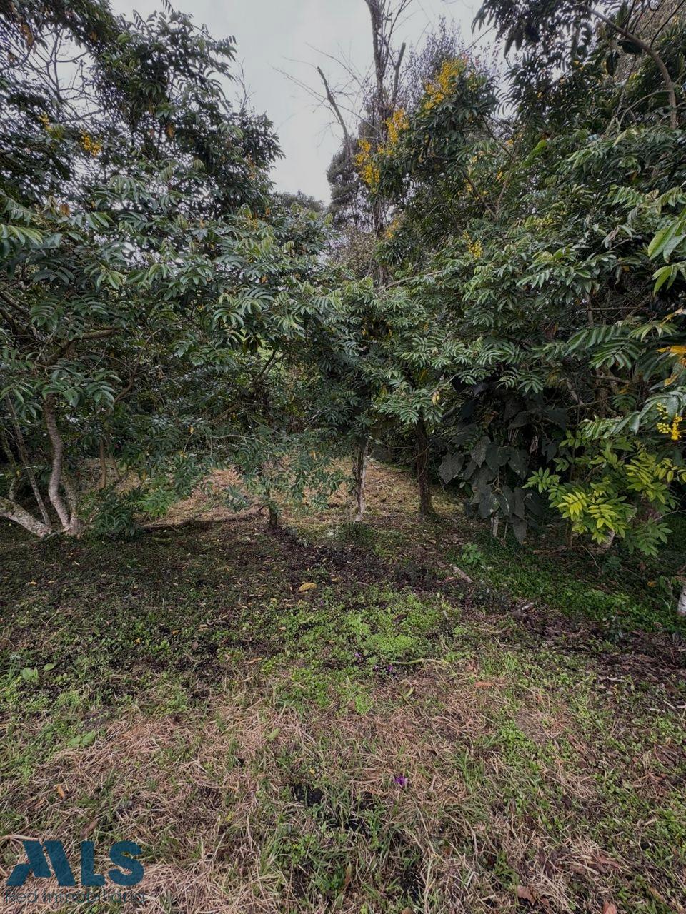 Lote Residencial en Alto de las Palmas – Envigado – 265682 - El Dandy