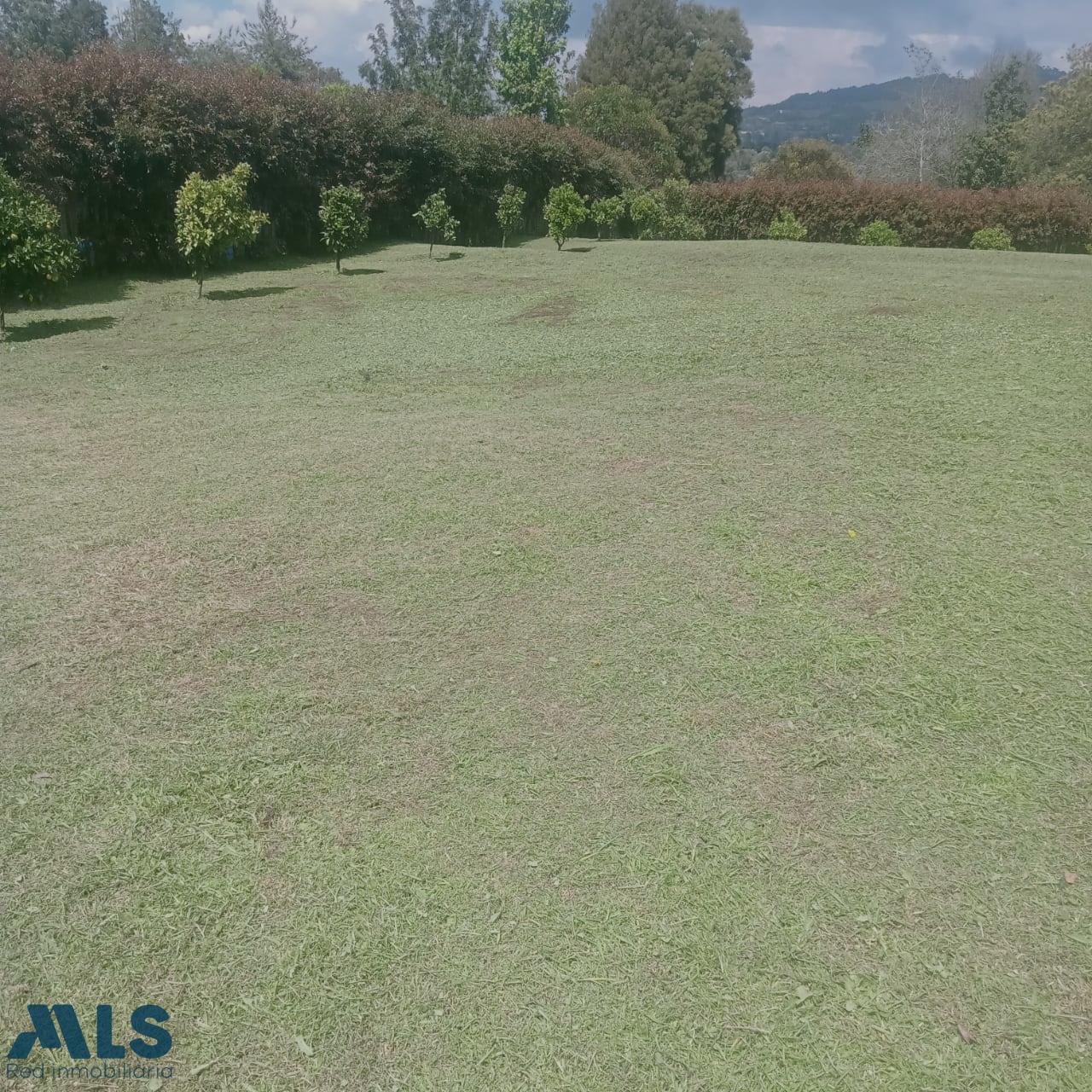Lote Residencial en Alto de las Palmas – Envigado – 265818 - El Dandy