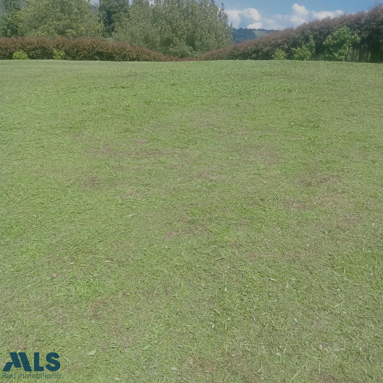 Lote Residencial en Alto de las Palmas – Envigado – 265818 - El Dandy