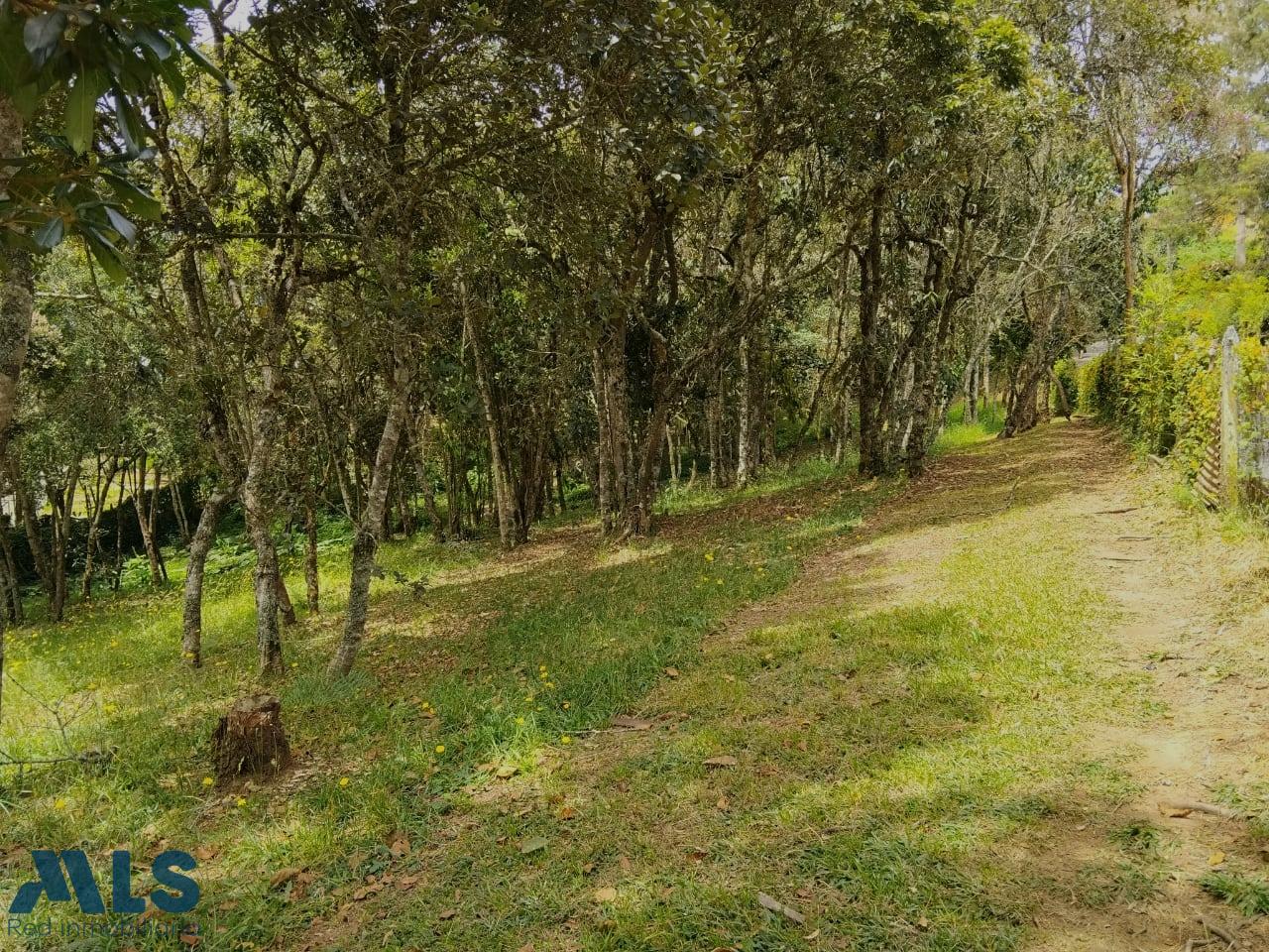 Lote Residencial en Rural – Santa Elena – 265881 - El Dandy