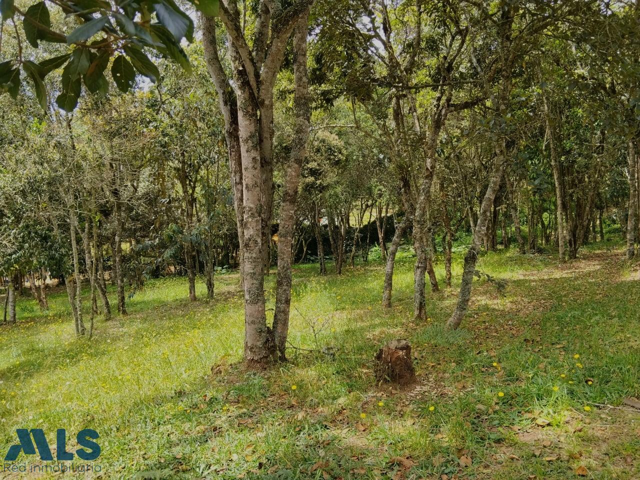 Lote Residencial en Rural – Santa Elena – 265881 - El Dandy