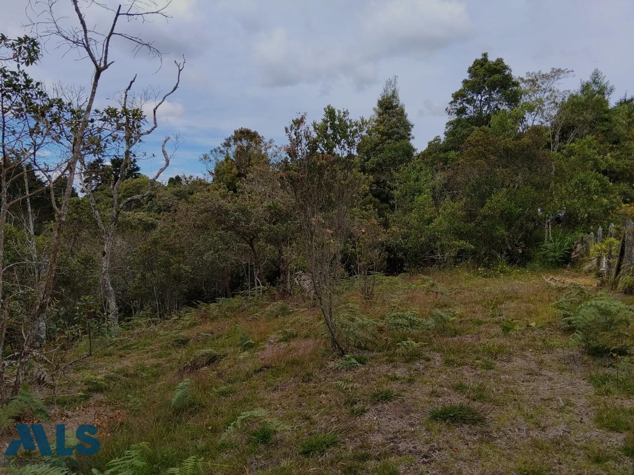 Lote Residencial en Rural – Santa Elena – 265881 - El Dandy
