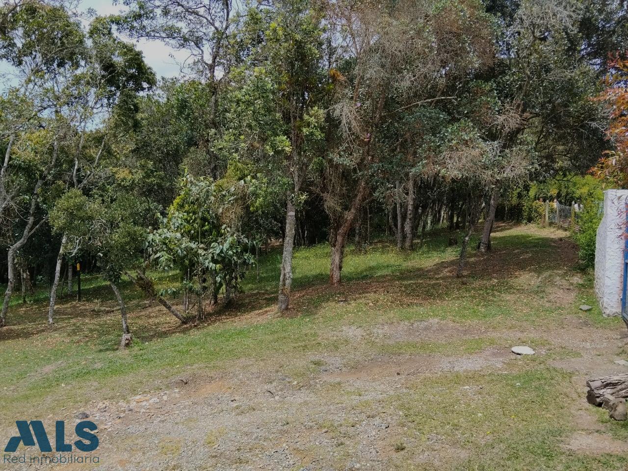 Lote Residencial en Rural – Santa Elena – 265881 - El Dandy