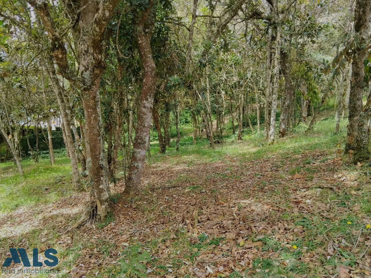 Lote Residencial en Rural – Santa Elena – 265881 - El Dandy