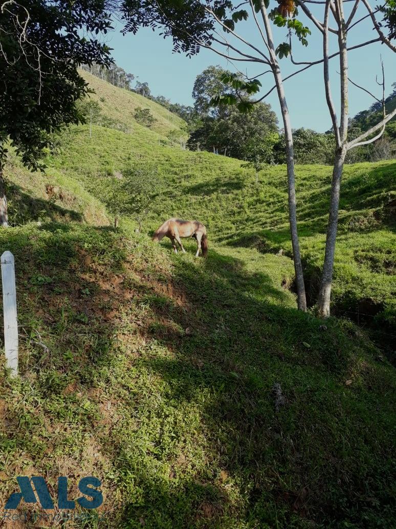 Finca Recreativa