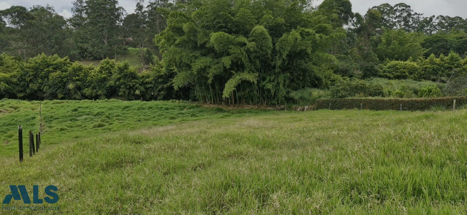 Lote Residencial