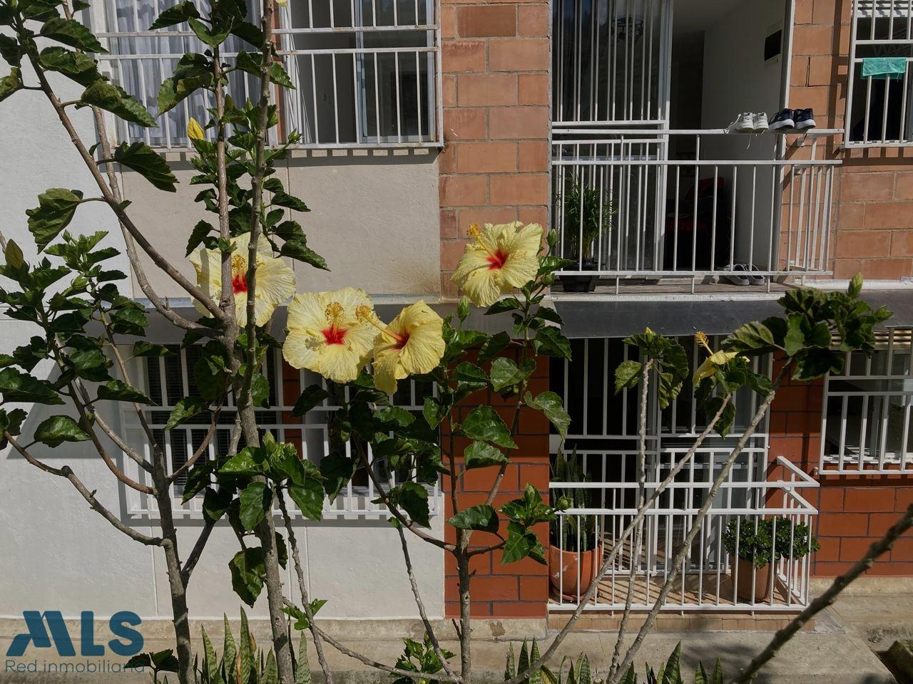 Apartamento en La piedrahita - foto 4