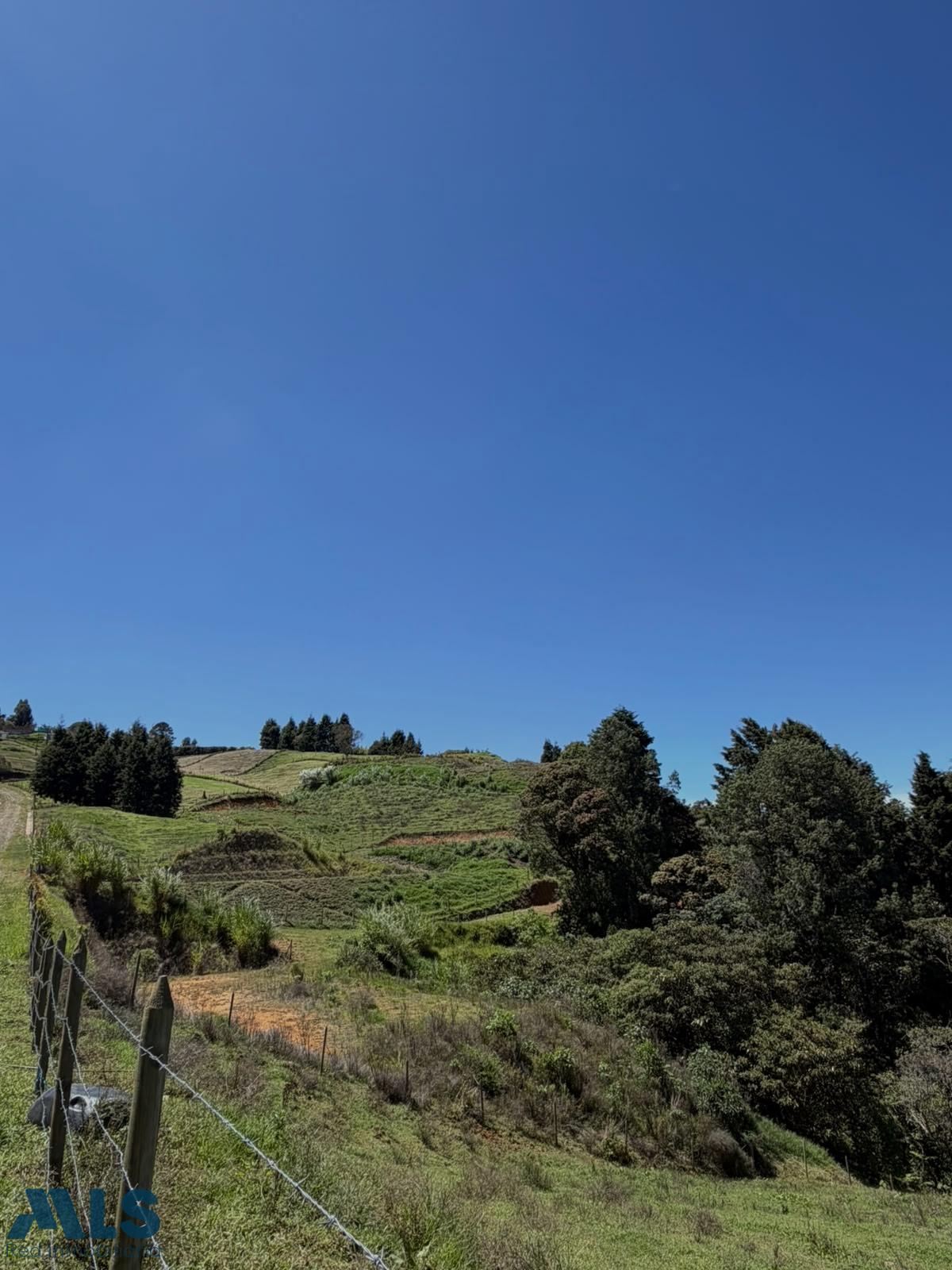 Lote Residencial en San Isidro - foto 4