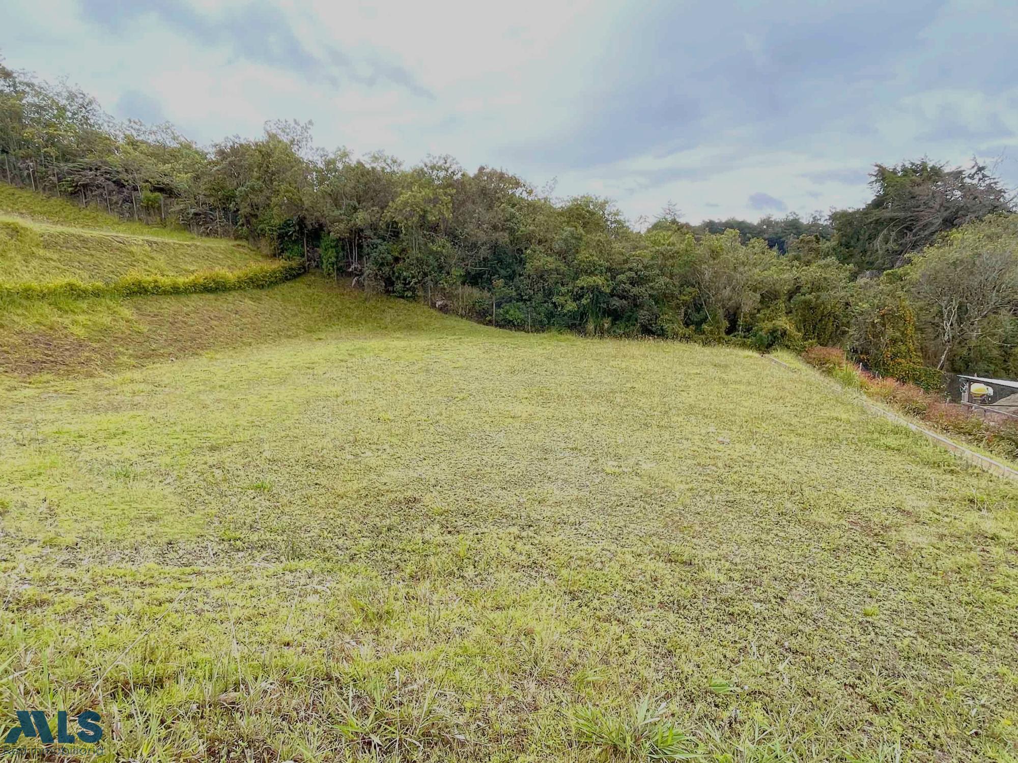 Lote Residencial en Alto de las Palmas - foto 4